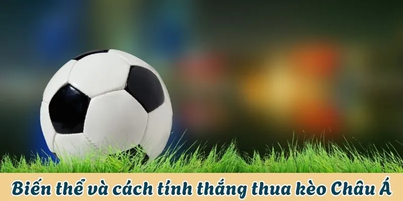 Biến thể và cách tính tiền thắng thua kèo Châu Á