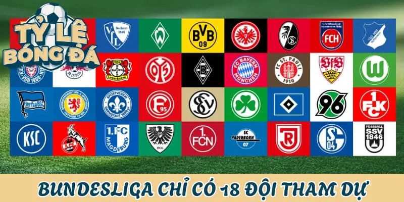 Chỉ có 18 đội dự Bundesliga