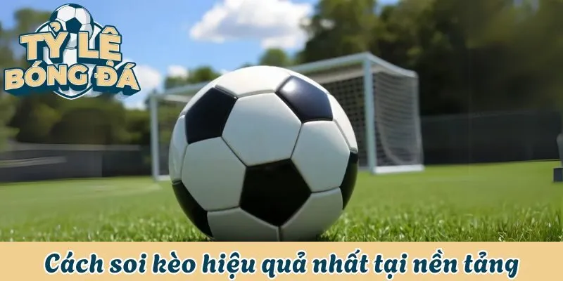 Cách soi kèo hiệu quả nhất tại nền tảng