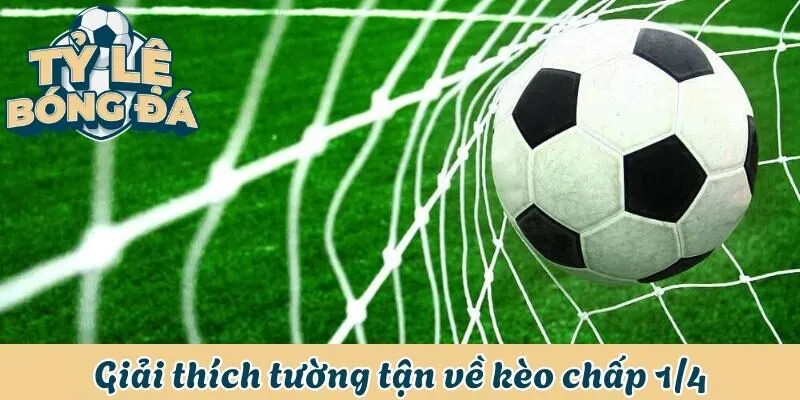 Kèo Chấp 1/4 - Tất Tần Tật Cách Đánh Kèo Bất Bại Từ A Đến Z 1 Giải thích tường tận về kèo chấp 1/4