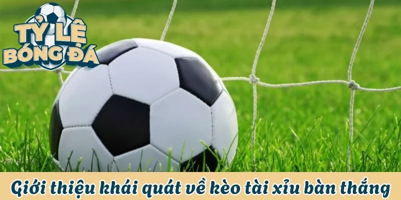 Giới thiệu khái quát nhất về kèo tài xỉu bàn thắng