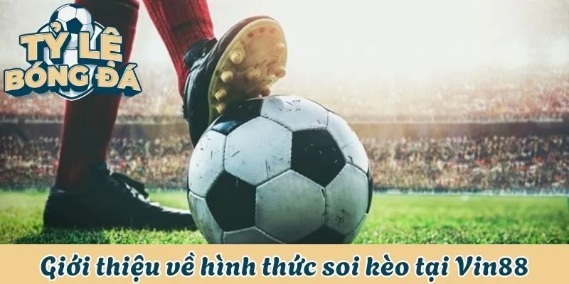 Giới thiệu về hình thức soi kèo nhà cái Vin88 