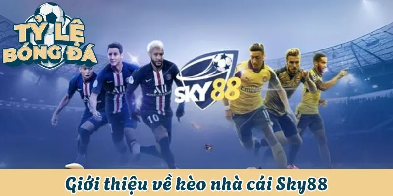 Giới thiệu về kèo nhà cái Sky88