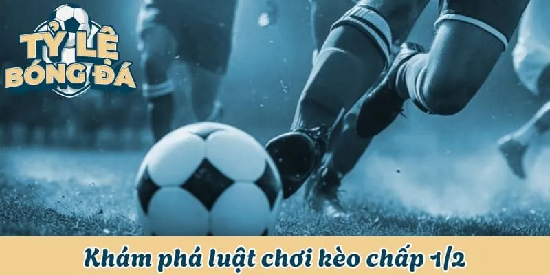 Khám phá thông tin luật chơi kèo chấp 1/2