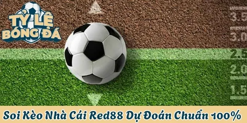 Soi kèo nhà cái red88