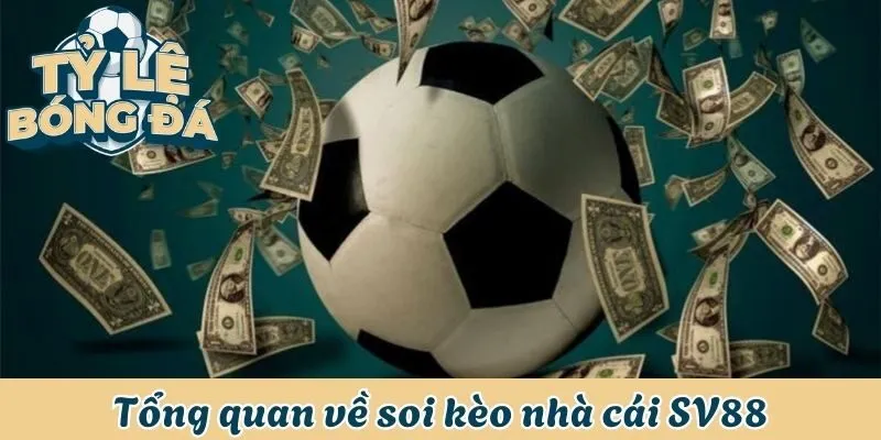 Tổng quan về soi kèo nhà cái SV88