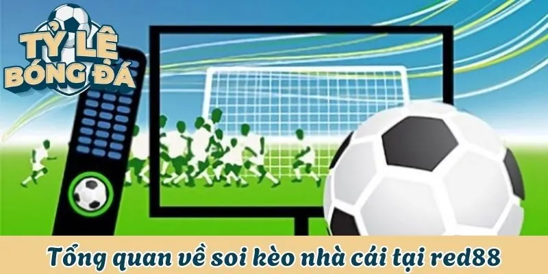 Tổng quan về soi kèo nhà cái tại red88