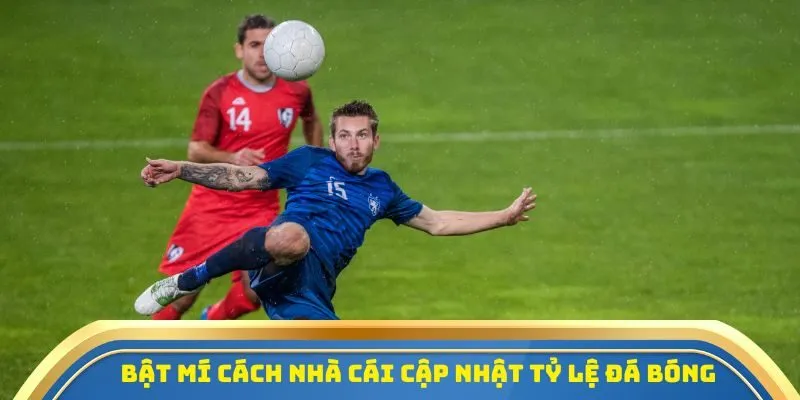 Bật mí cách nhà cái cập nhật tỷ lệ bóng đá