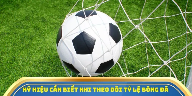 Một vài ký hiệu cần biết trước khi theo dõi tỷ lệ kèo bóng đá