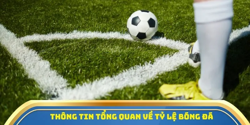 Tìm hiểu thông tin tổng quan về tỷ lệ bóng đá