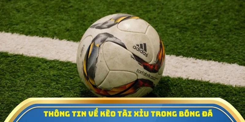 Thông tin về kèo tài xỉu - Một kèo phổ biến trong tỷ lệ bóng đá