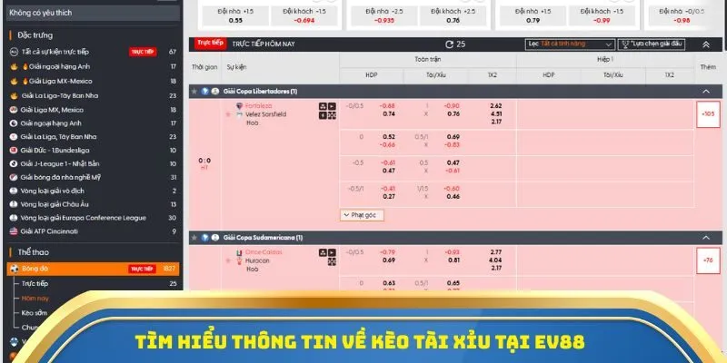 Cá Cược Thể Thao Hàng Đầu Châu Á EV88 - Chơi Là Nghiền 2 Tìm hiểu thông tin về kèo Tài Xỉu tại EV88