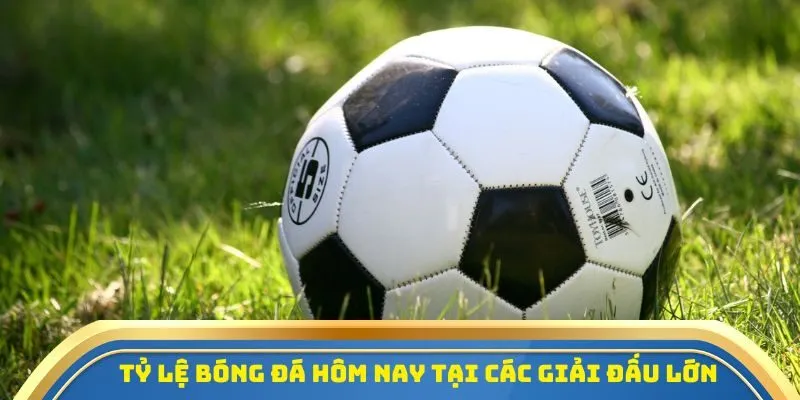 Khám phá tỷ lệ bóng đá hôm nay tại các giải đấu quốc tế