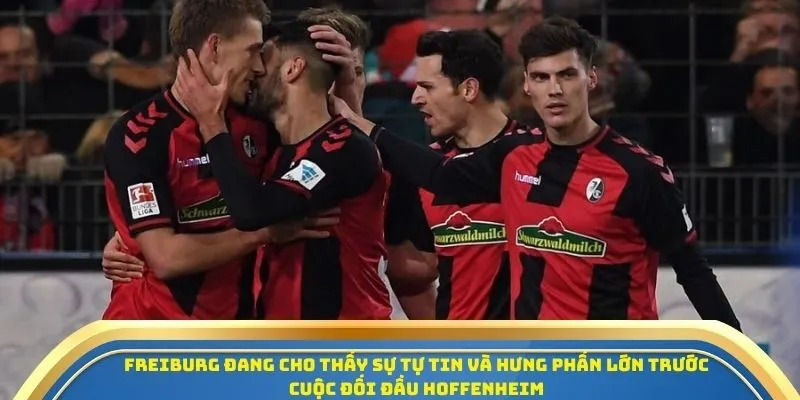 Soi Kèo Freiburg vs Hoffenheim 28/09/2025 - Tâm Điểm Vòng 5 Giải Bundesliga 2 Freiburg đang cho thấy sự tự tin và hưng phấn lớn trước cuộc đối đầu Hoffenheim