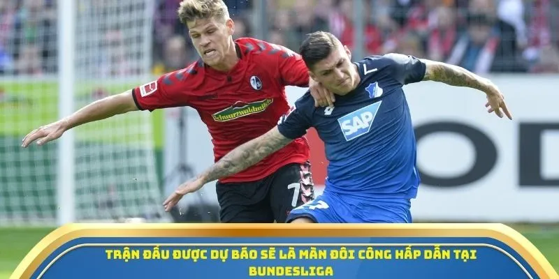 Soi Kèo Freiburg vs Hoffenheim 28/09/2025 - Tâm Điểm Vòng 5 Giải Bundesliga 4 Trận đấu được dự báo sẽ là màn đôi công hấp dẫn tại Bundesliga
