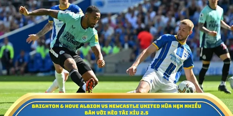 Soi Kèo Brighton Vs Newcastle United Ngày 18/10/2025 – Ngoại Hạng Anh 4 Brighton & Hove Albion vs Newcastle United hứa hẹn nhiều bàn với kèo Tài Xỉu 2.5