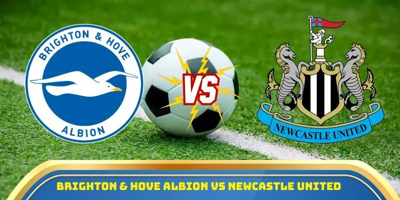 Brighton & Hove Albion vs Newcastle United