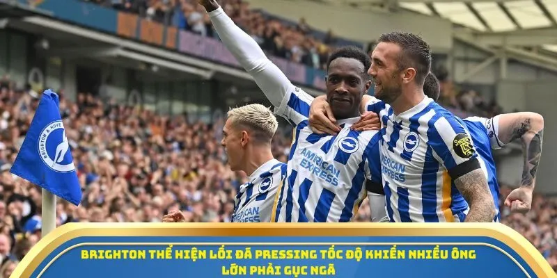 Soi Kèo Brighton Vs Newcastle United Ngày 18/10/2025 – Ngoại Hạng Anh 2 Brighton thể hiện lối đá pressing tốc độ khiến nhiều ông lớn phải gục ngã