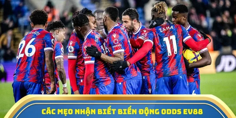 Tỷ Lệ Bóng Đá EV88 - Tham Gia Cá Cược Rinh Thưởng Lớn 2 Các mẹo nhận biết biến động odds EV88