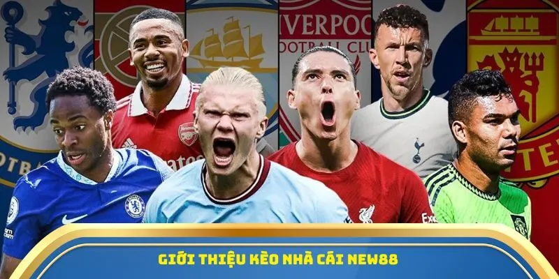 Giới thiệu kèo nhà cái New88