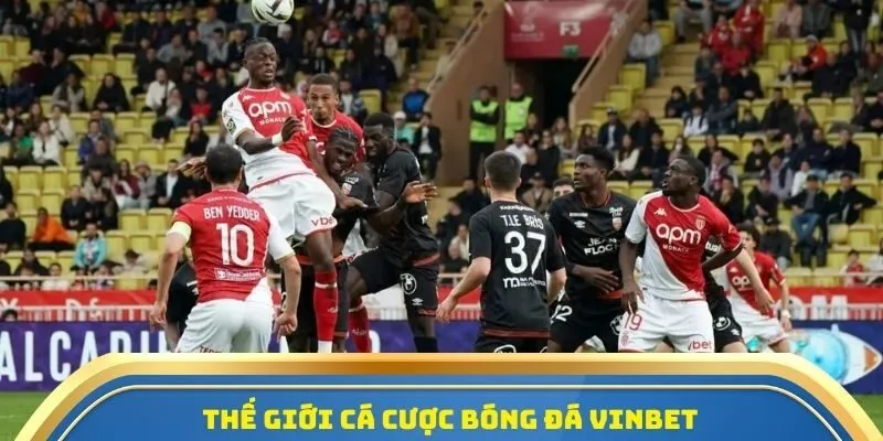 Thế giới cá cược bóng đá Vinbet