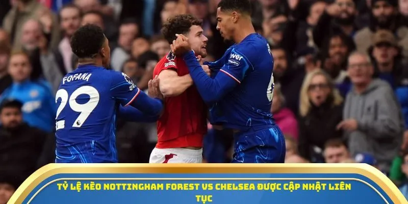 Tỷ lệ kèo Nottingham Forest vs Chelsea được cập nhật liên tục